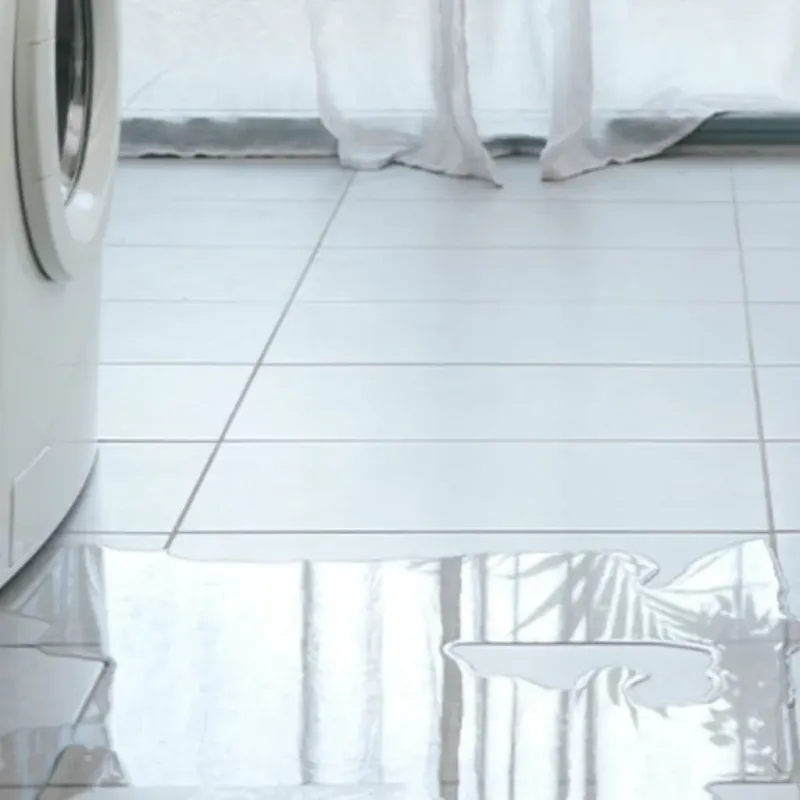 Appliance Leak Cleanup in Logan County, OH