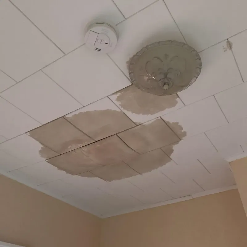 Ceiling Water Damage Repair in Logan County, OH