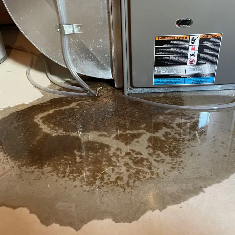 Pipe Burst and Leak Restoration in Logan County, OH