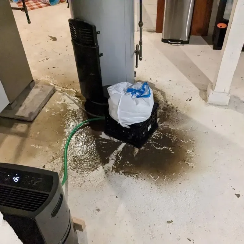 Sewage Backup Cleanup Service in Logan County, OH
